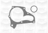 GRAF PA716 Water Pump
